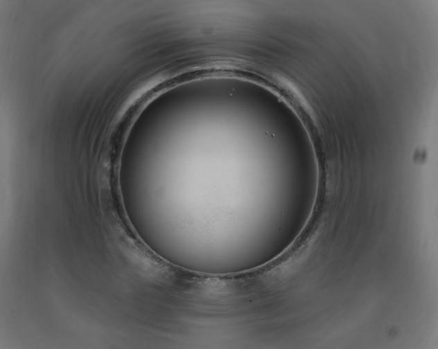 X0000093140827200709261423