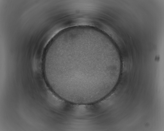 X0000093140828200709261423