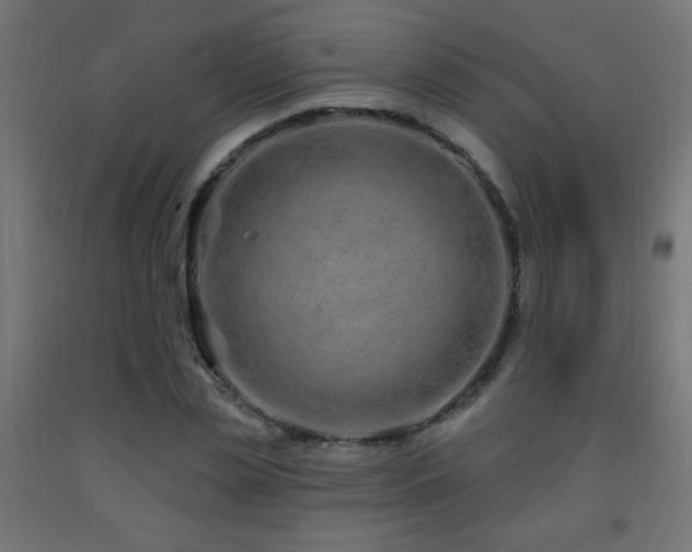 X0000093140829200709261423