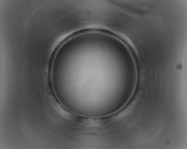X0000093140831200709261423