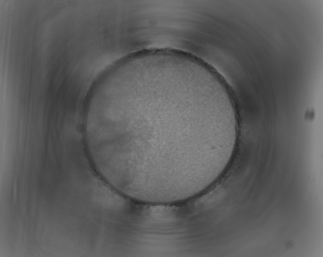 X0000093140832200709261423