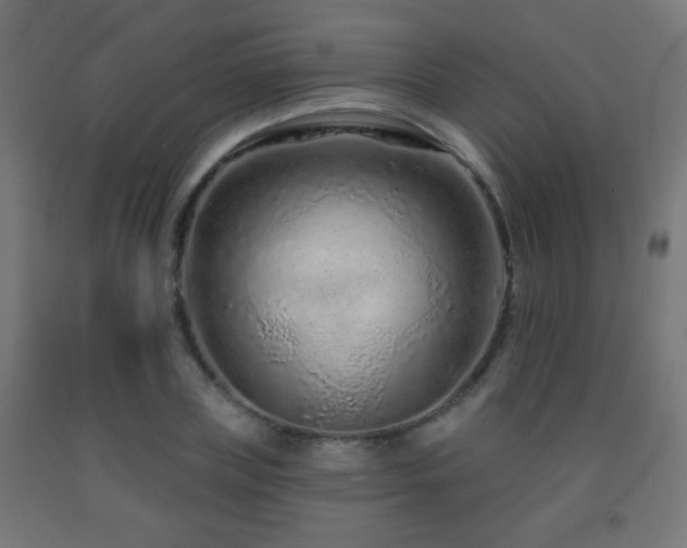 X0000093140835200709261423