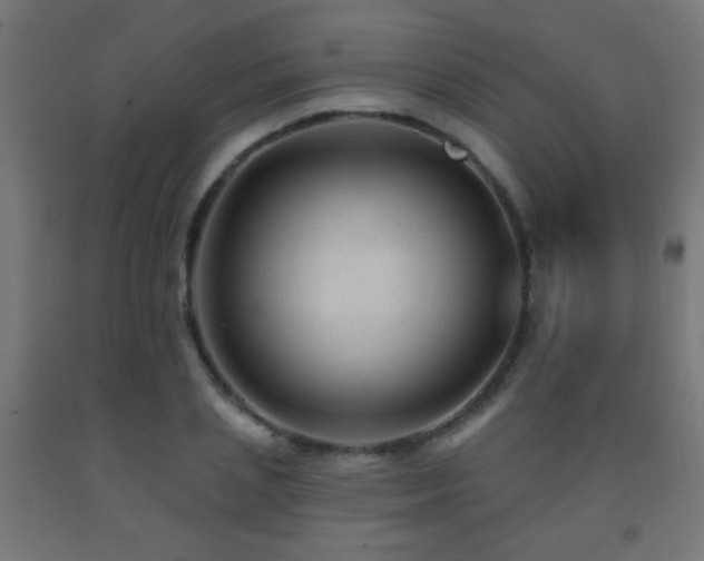 X0000093140837200709261423
