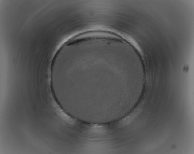 X0000093140839200709261423