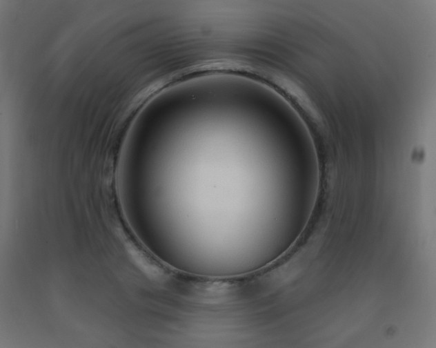 X0000093140841200709261423