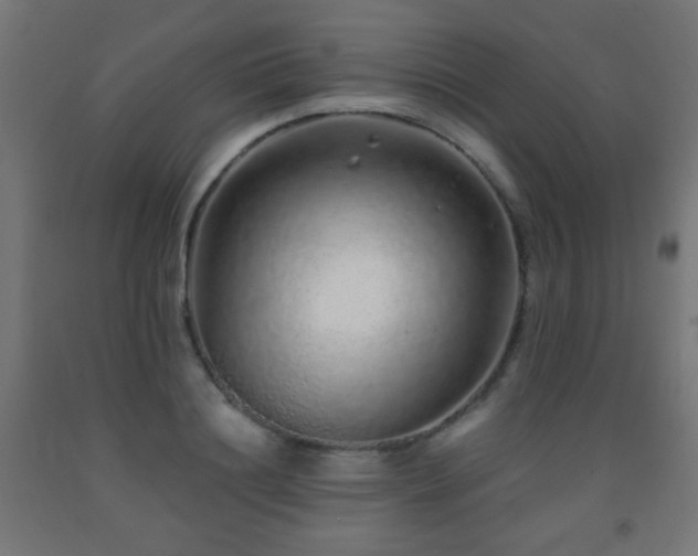 X0000093140844200709261423