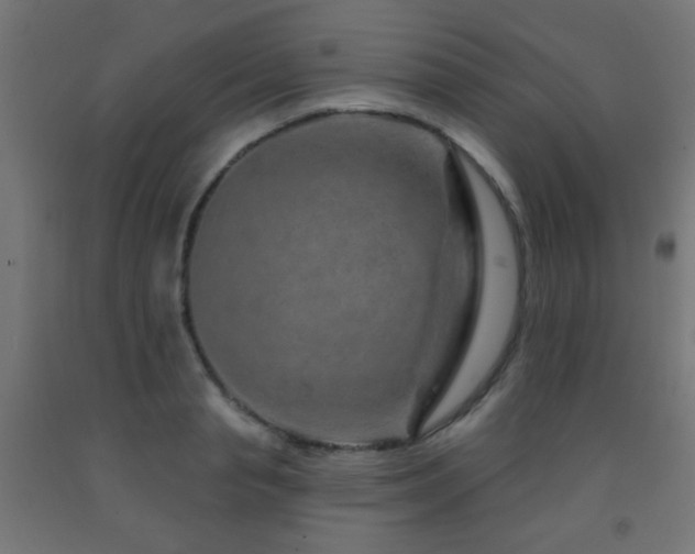 X0000093140845200709261423