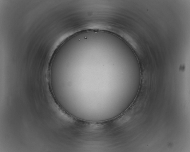 X0000093140848200709261423
