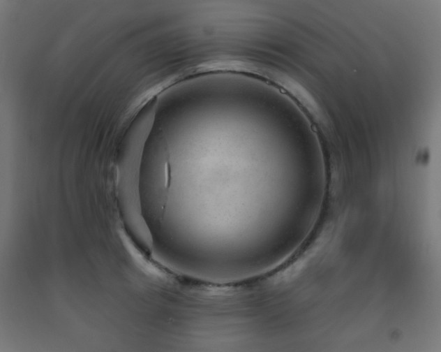X0000093140849200709261423