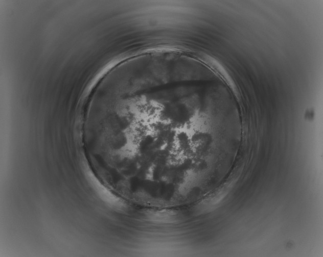 X0000093140851200709261423
