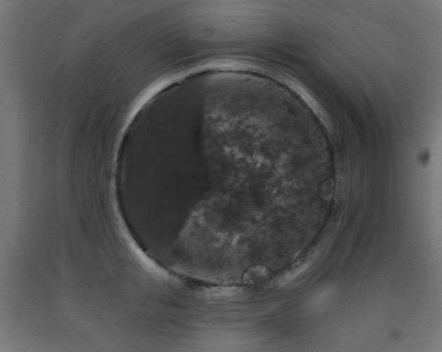 X0000093140853200709261423