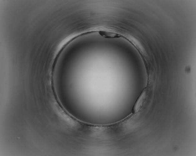 X0000093140854200709261423