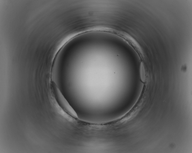 X0000093140860200709261423