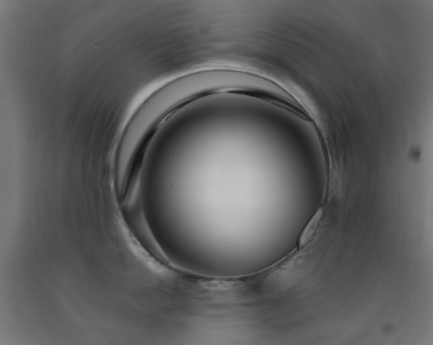 X0000093140862200709261423