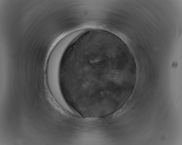 X0000093140864200709261423