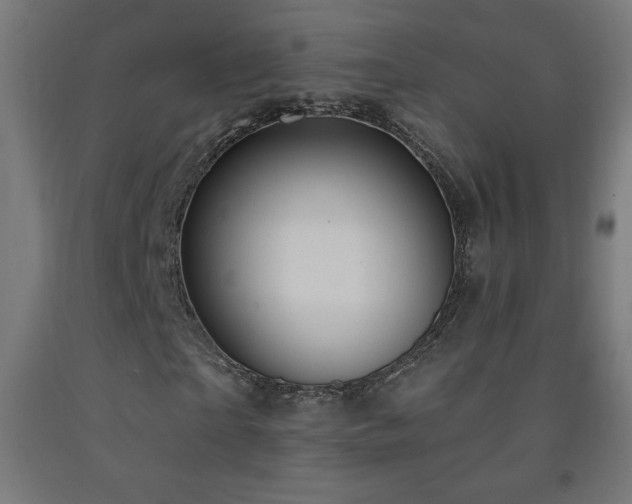 X0000093140865200709261422
