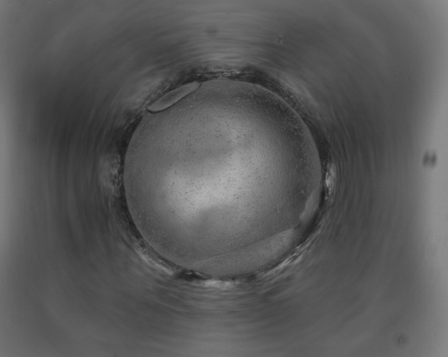 X0000093140867200709261422