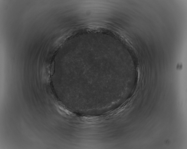 X0000093140868200709261422