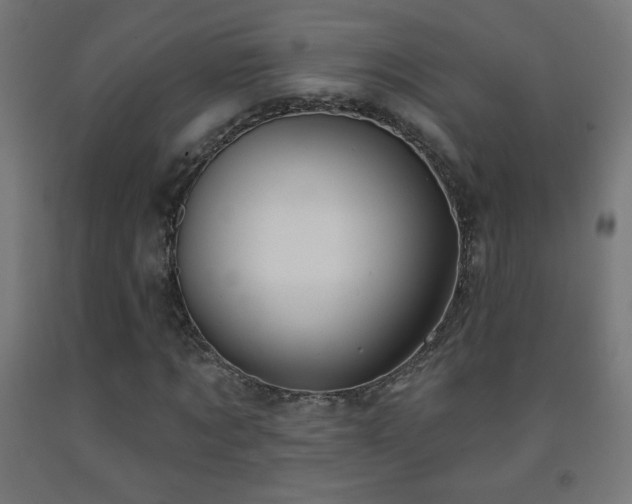 X0000093140869200709261422