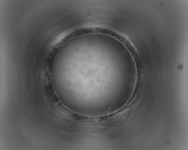 X0000093140871200709261422