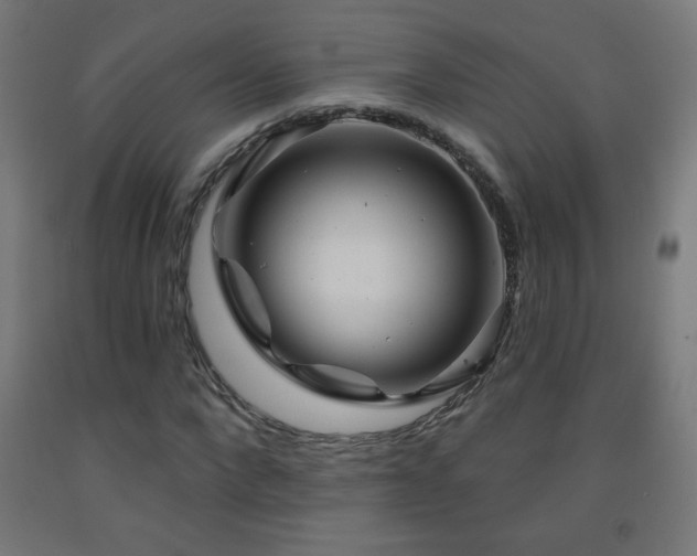 X0000093140872200709261422