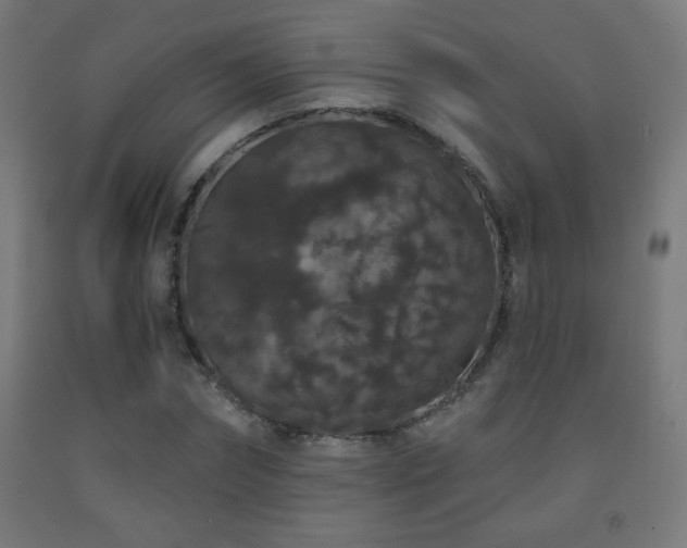 X0000093140874200709261422