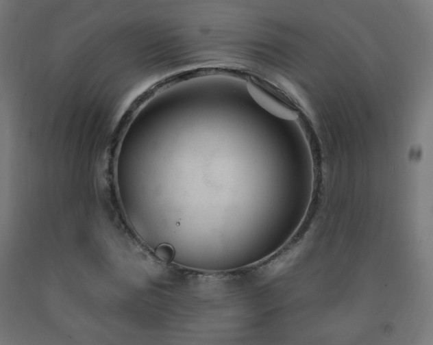 X0000093140875200709261422