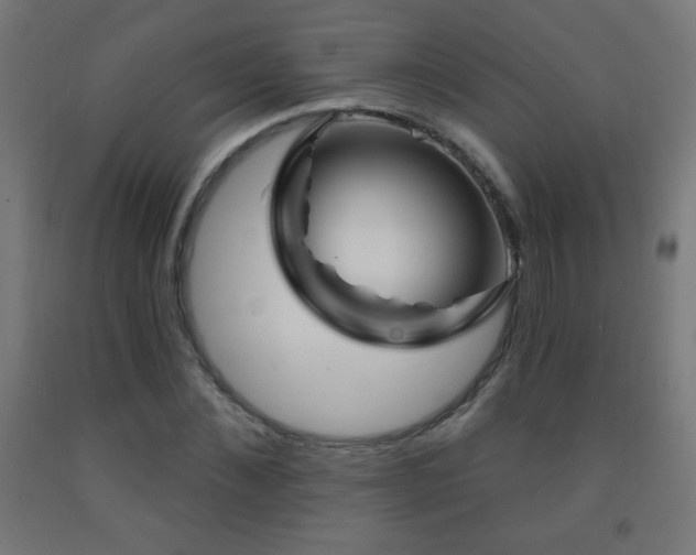 X0000093140876200709261422