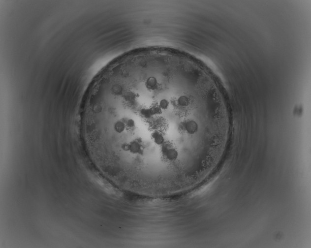 X0000093140879200709261422