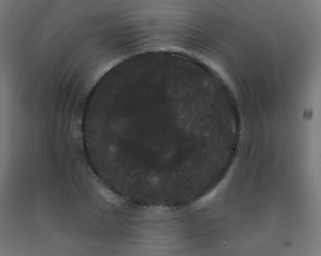 X0000093140881200709261422