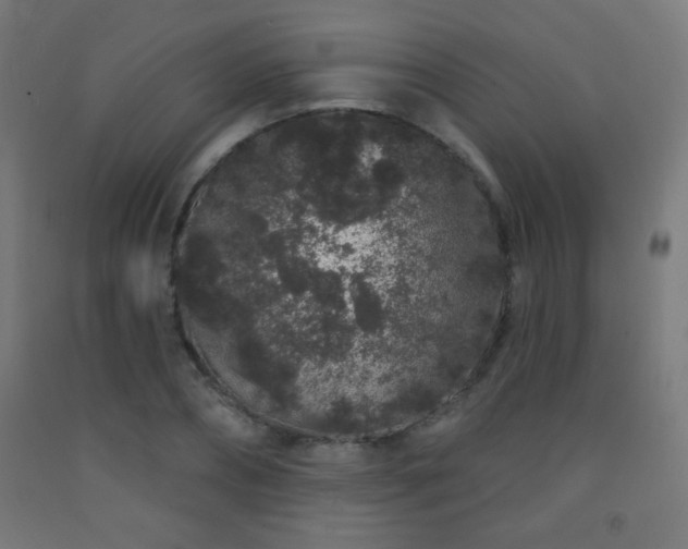 X0000093140882200709261422