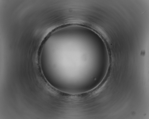 X0000093140883200709261422