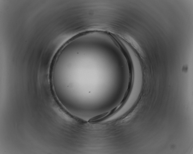 X0000093140884200709261422