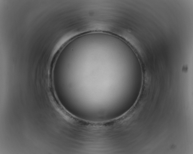 X0000093140886200709261422