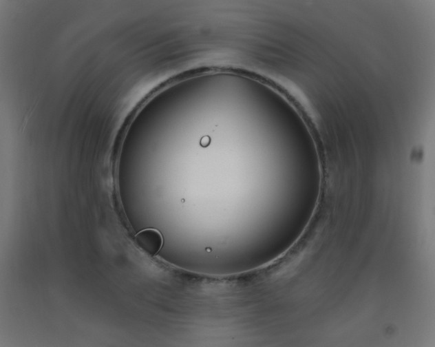 X0000093140887200709261422