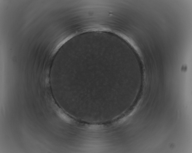 X0000093140889200709261422