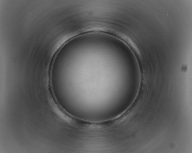 X0000093140890200709261422