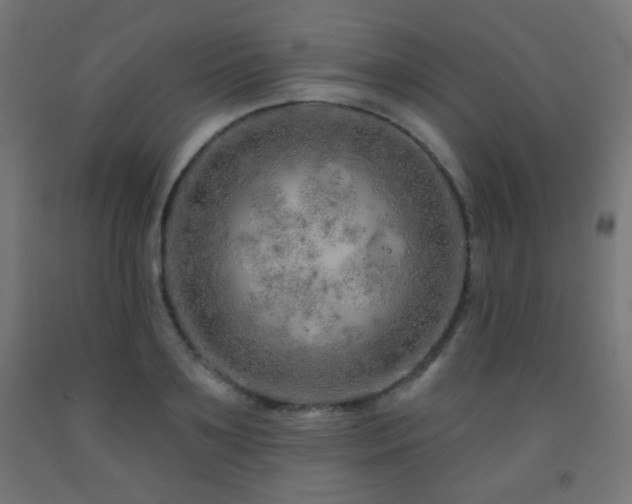 X0000093140891200709261422