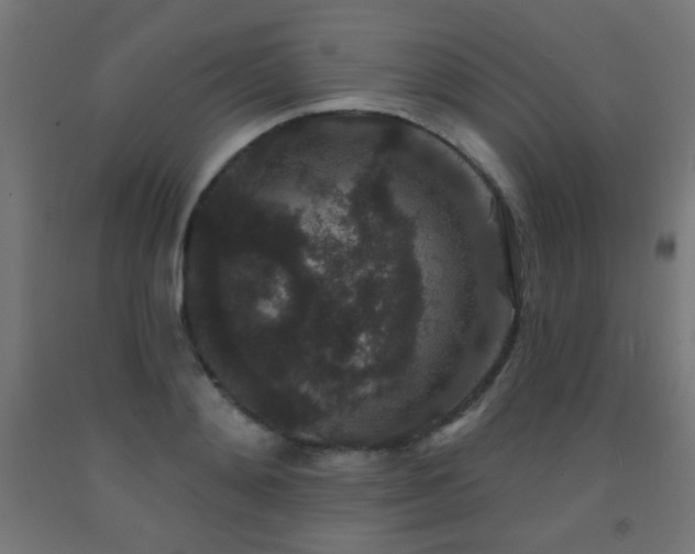 X0000093140892200709261422