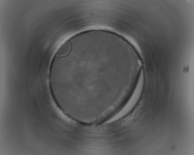 X0000093140895200709261422