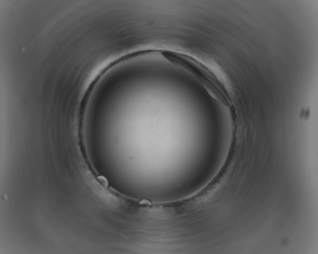X0000093140896200709261422