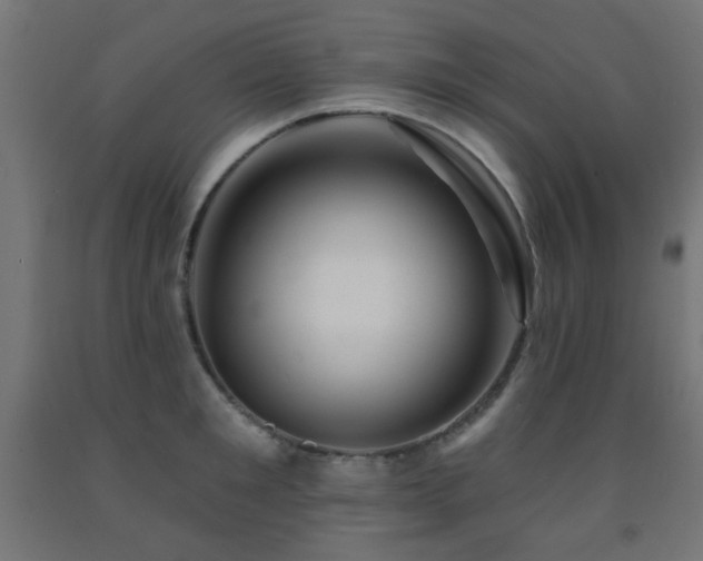 X0000093140901200709261422