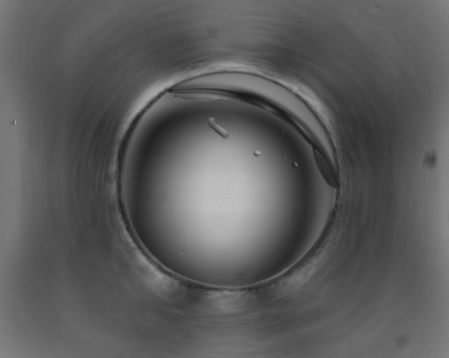 X0000093140902200709261422