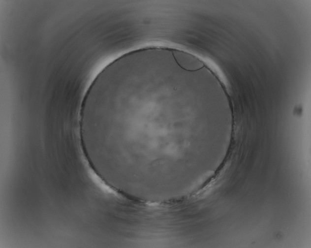 X0000093140903200709261422