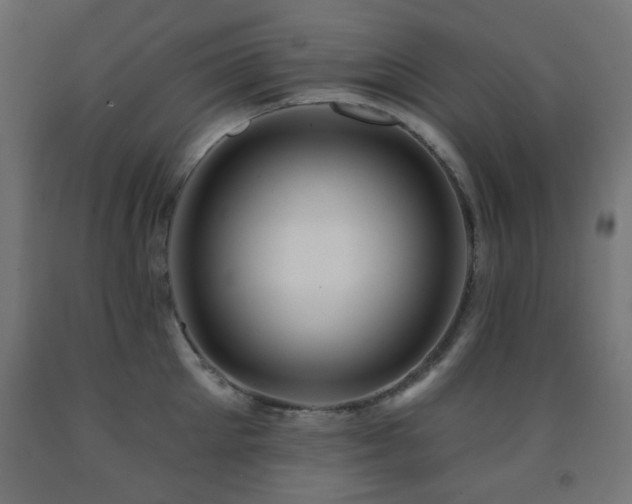 X0000093140905200709261422