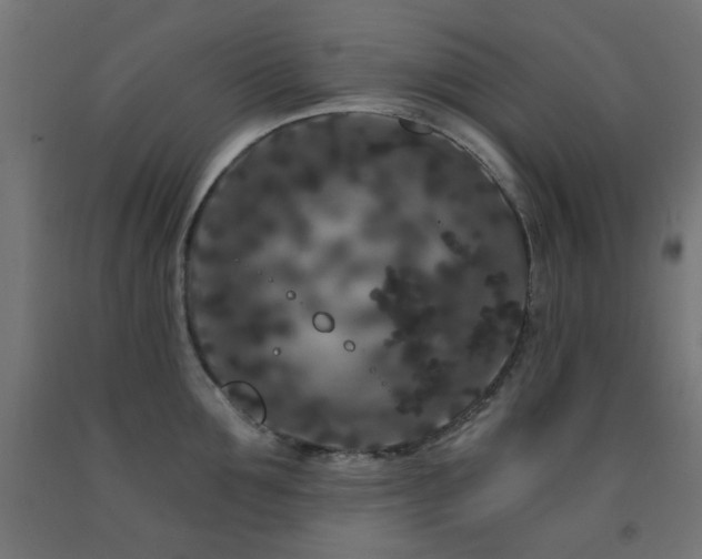 X0000093140907200709261422