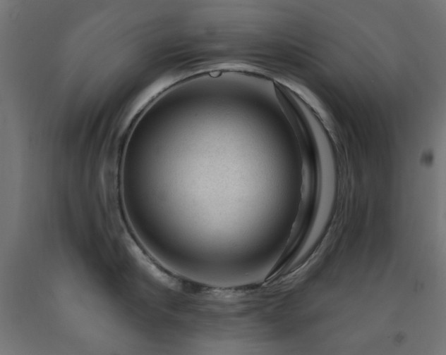 X0000093140910200709261422