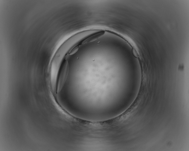 X0000093140911200709261422