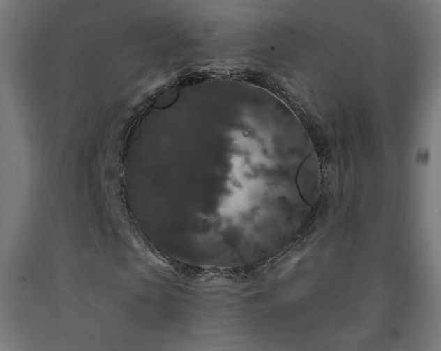 X0000093140913200709261421