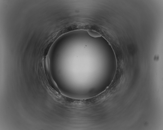 X0000093140914200709261421